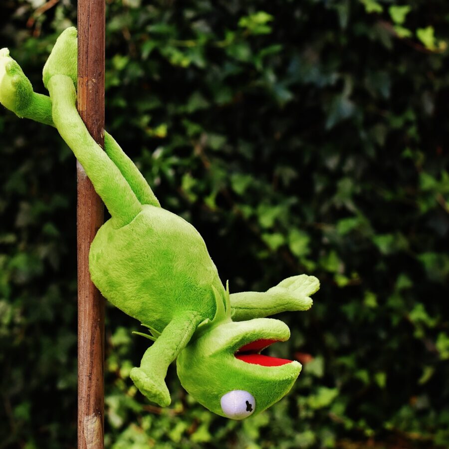 Karries Pole + Aerial