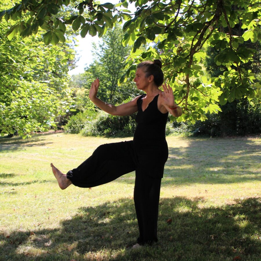 U3A Tai Chi Long